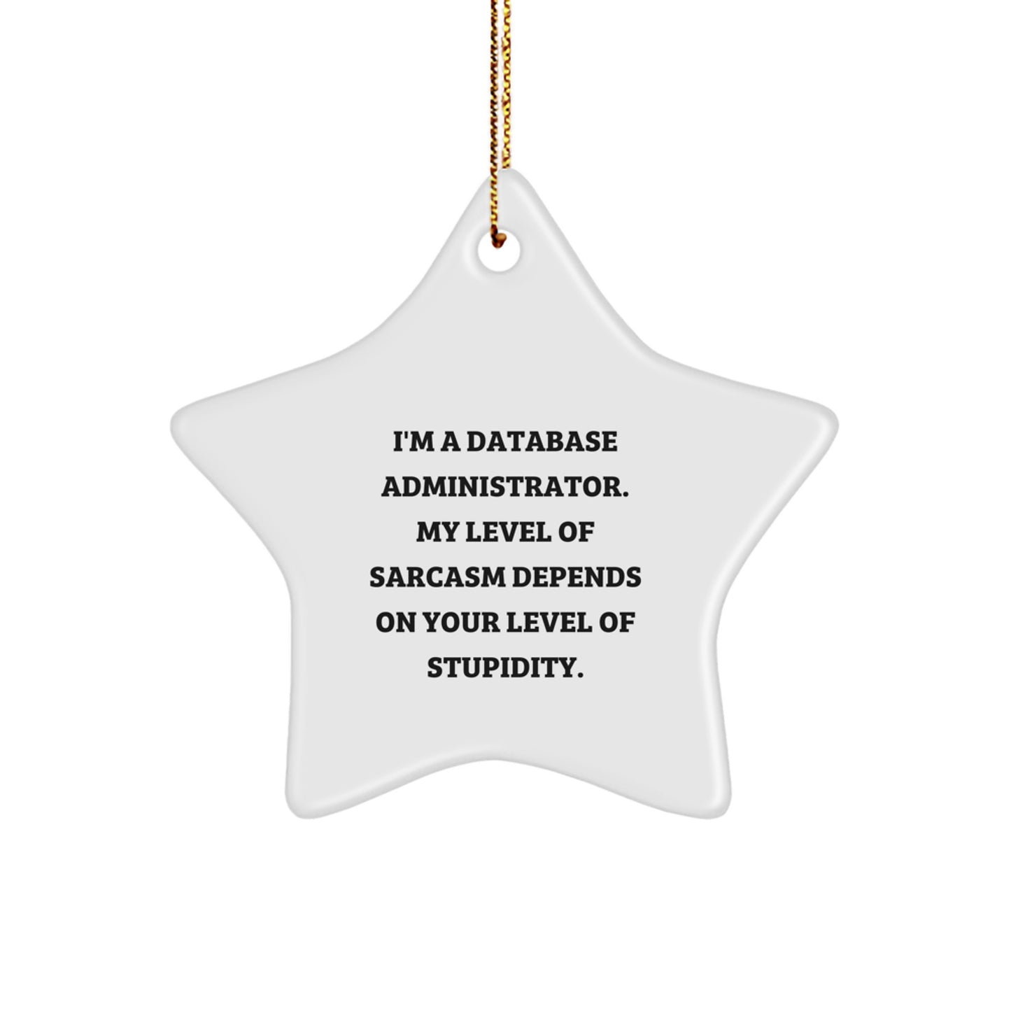 Funny Star Ornament Gifts for Database Administrator - Unique Christmas Memorable Presents from Friends - 'I'm A Database Administrator, My Level Of Sarcasm Depends On Your Level Of Stupidity' - Image 1