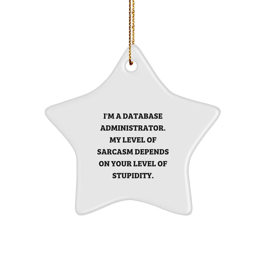 Funny Star Ornament Gifts for Database Administrator - Unique Christmas Memorable Presents from Friends - 'I'm A Database Administrator, My Level Of Sarcasm Depends On Your Level Of Stupidity' - Image 1