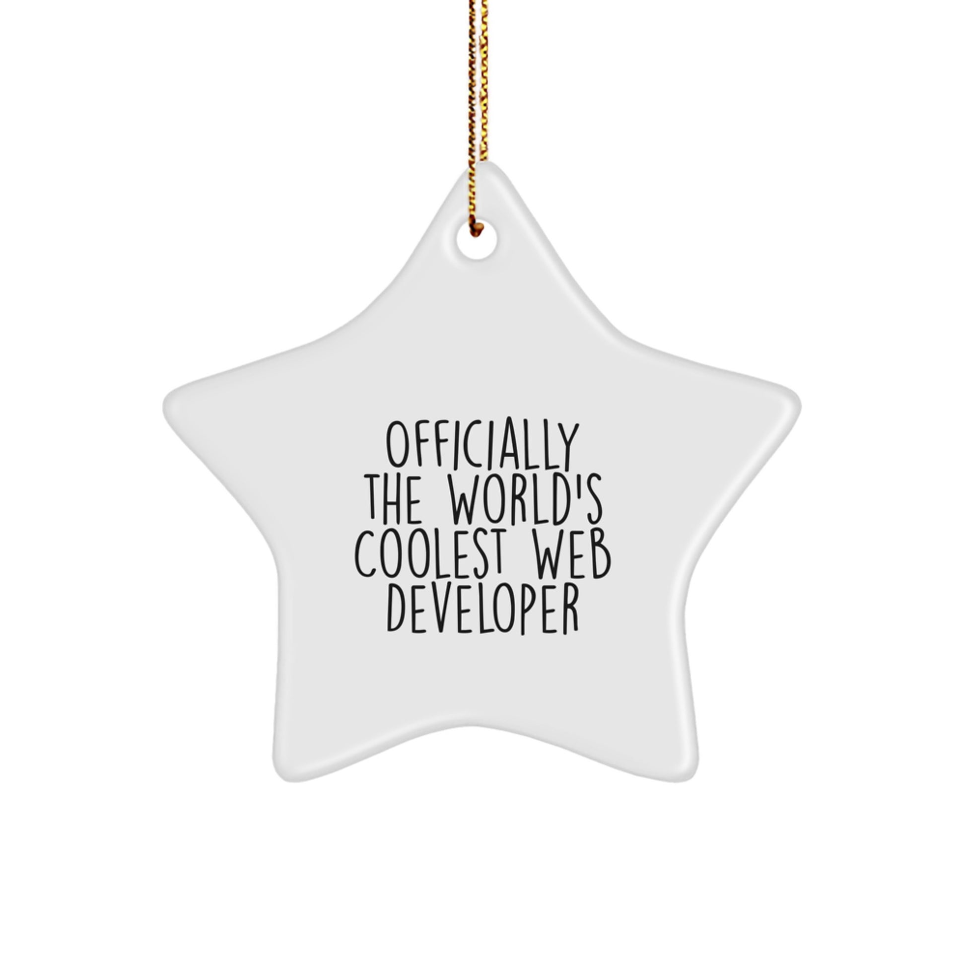 Funny Star Ornament for Web Developer Gifts, Gifts from Men to Web Developer, Christmas Unique Gifts for Him - Image 1