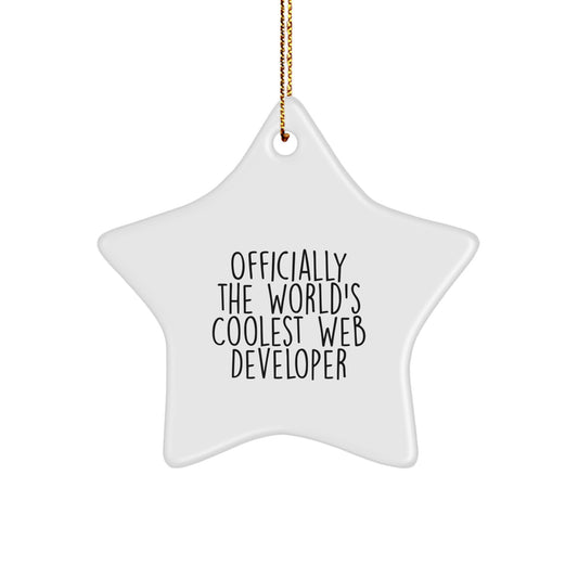 Funny Star Ornament for Web Developer Gifts, Gifts from Men to Web Developer, Christmas Unique Gifts for Him - Image 1