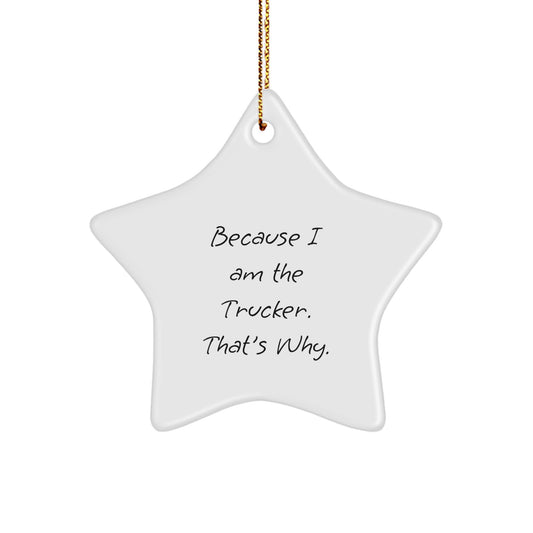 Trucker Gifts Because I Am The Trucker. That's Why., Star Ornament, Christmas Unique Gifts from Friends for Men - Image 1